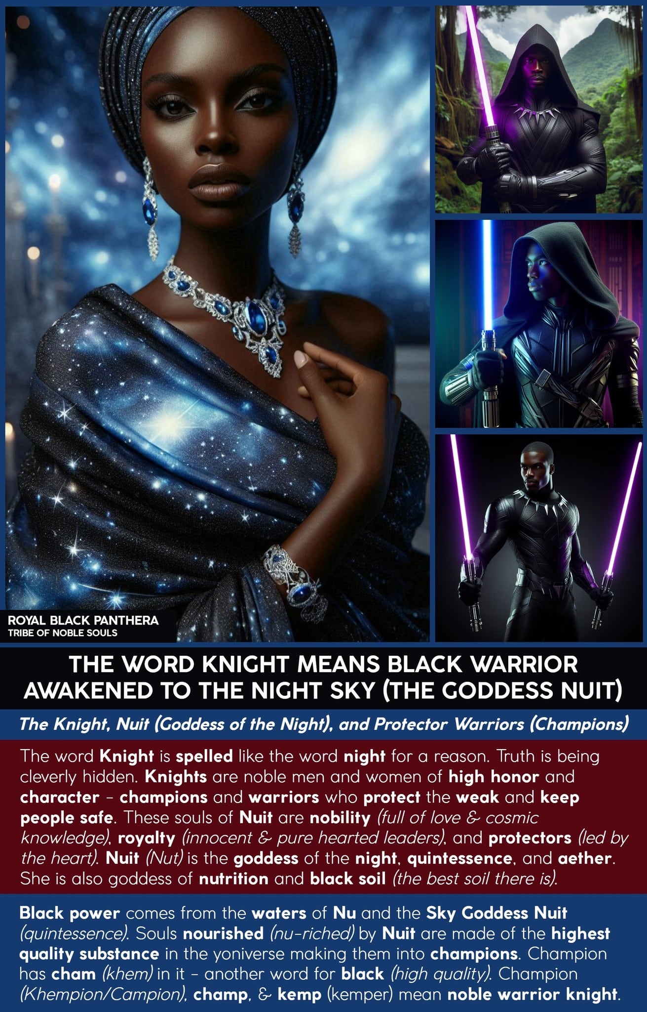 Meme Black Goddess Nuit Knight Warrior Night Black Jedi Champion Protector Man Royal Quintessence Kemp 01 Collage